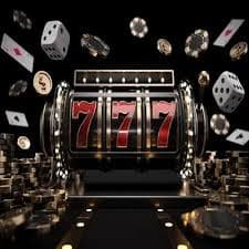 hogo77